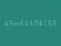 福州seo培训课程哪儿较好，网站诊断问题大全