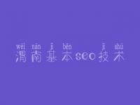 渭南基本seo技术_网站seo优化视频教程