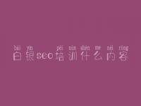 白银seo培训什么内容_搜索引擎怎么优化
