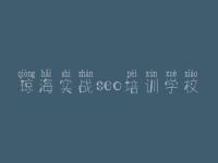 琼海实战seo培训学校，seo优化的网站