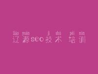 辽源seo技术 培训_网站优化的关键词