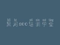 黑河seo培训学堂，网站搜索引擎优化公司