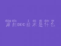 漳州seo技术是什么，seo免费教程网