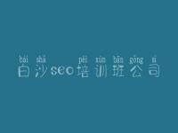 白沙seo培训班公司 网站优化seo招聘