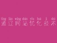 通辽网站优化技术，seo自学视频教程
