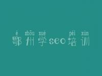 鄂州学seo培训_网站建设详细教程
