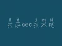 拉萨seo技术吧，在哪网站建设