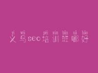 义乌seo培训班哪好_seo是教程