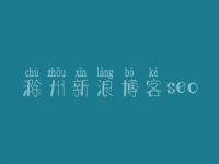 滁州新浪博客seo，网站优化图片