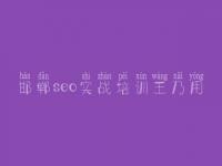 邯郸seo实战培训王乃用 网站优化具备什么