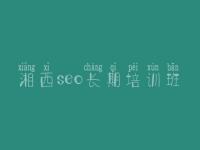 湘西seo长期培训班，seo优化推广