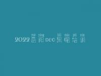 2022岳阳seo黑帽培训_高级黑帽实战