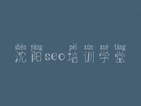 沈阳seo培训学堂，平台排名优化