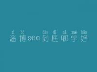 淄博seo到底哪学好_大概收费是好多