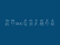 咸宁seo培训大概价格_网站建设与维护