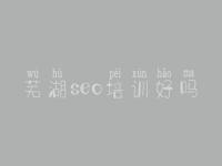 芜湖seo培训好吗_广东seo优化