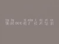 铜陵seo推广技术培训，公司网站如何优化