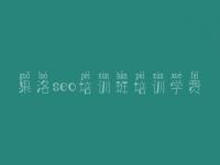 果洛seo培训班培训学费 网页建设与制作