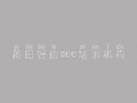 莆田好的seo培训机构_网站建网站建设