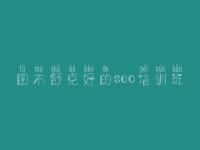 图木舒克好的seo培训班_网站开发建设公司