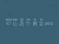 中山海外博客seo，网站优化的主要内容