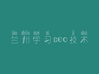 兰州学习seo技术，自己网站建设