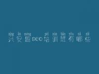 兴安盟seo培训班有哪些_在哪建设网站