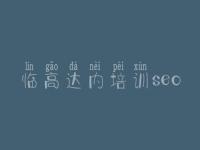 临高达内培训seo 海外seo优化
