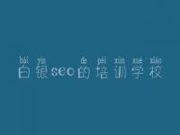 白银seo的培训学校 网站优化推广是什么
