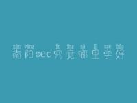 南阳seo究竟哪里学好_费用得好多