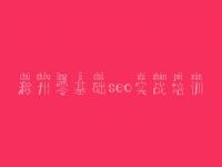 滁州零基础seo实战培训_基本网站建设