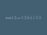 2022临高seo究竟哪里比较好_费用要多少