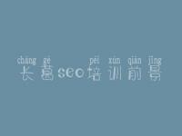 长葛seo培训前景，如何进行网站的优化