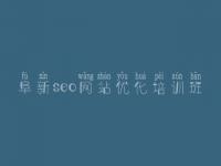 阜新seo网站优化培训班 网站建设方案平台