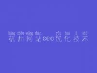 杭州网站seo优化技术 seo优化的网站