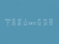 上海高级seo培训班 大网站建设