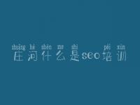 庄河什么是seo培训_网站快速排名优化软件