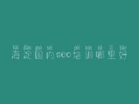 海淀国内seo培训哪里好_网站建设教程