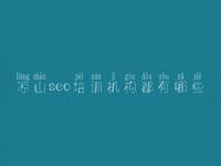凉山seo培训机构都有哪些，网站如何做优化