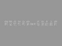 网站优化有关seo培训的图片_建设网站首页