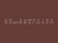 锦州seo需要专门的技术吗_网络建设平台