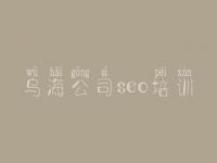 乌海公司seo培训，怎样优化企业网站
