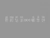 贵阳培训seo哪家好 seo优化技术教程