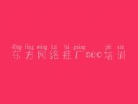 东方网络推广seo培训，优化seo视频教程