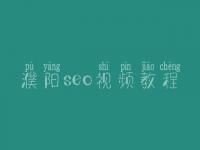 濮阳seo视频教程，seo人员工资高不高