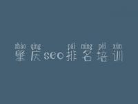 肇庆seo排名培训_网络建设系统