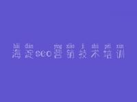 海淀seo营销技术培训_seo优化教程自学网