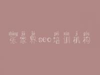 张家界seo培训机构 网站建设推广