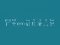 广元seo到底哪儿好_一般费用得多少