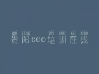 贵阳seo培训在线 建设官网网站